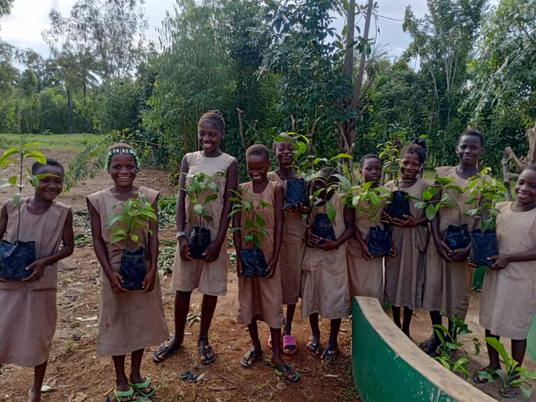 Installation des Vergers Scolaires de Garcinia Kola à Adjarra !