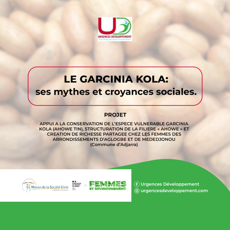 Le Garcinia Kola : Mythes et Croyances Sociales !